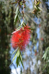 Similar image 21786015