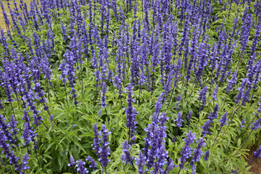 Similar image 21786020