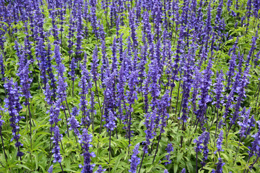 Similar image 21786021