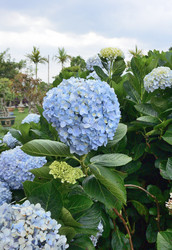 Similar image 21786023