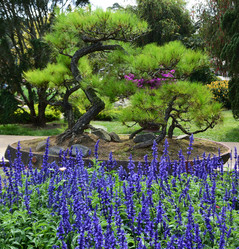 Similar image 21786152