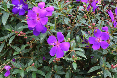 Similar image 21786153