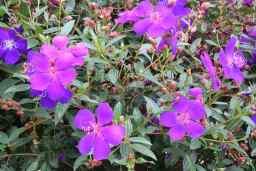 Similar image 21786154