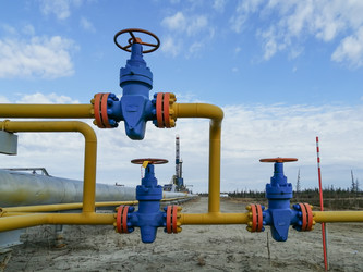 Similar image 21786459