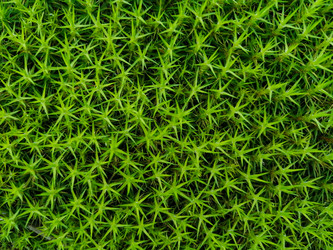 Similar image 21786464