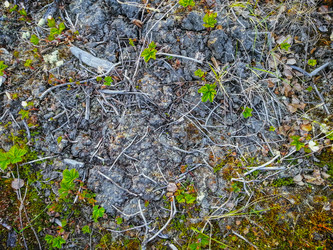 Similar image 21786467