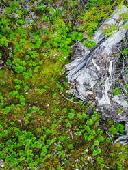 Similar image 21786468