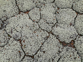 Similar image 21786469