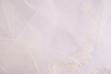 Similar image 21786033