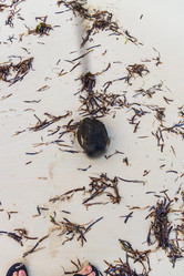 Similar image 21786584