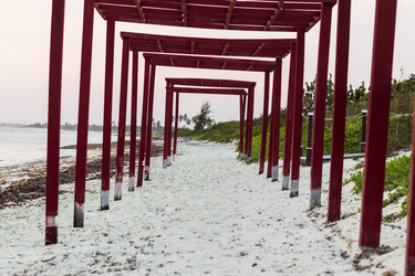 Similar image 21786587