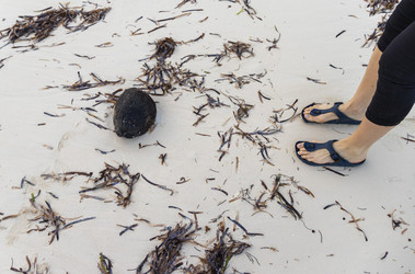 Similar image 21786589