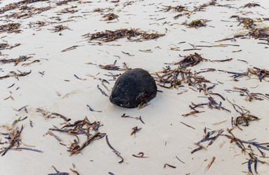 Similar image 21786590