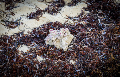 Similar image 21786591