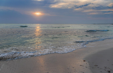 Similar image 21786594