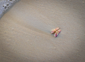 Similar image 21786598