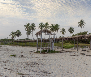 Similar image 21786599