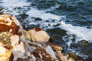 Similar image 21786600