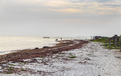 Similar image 21786601