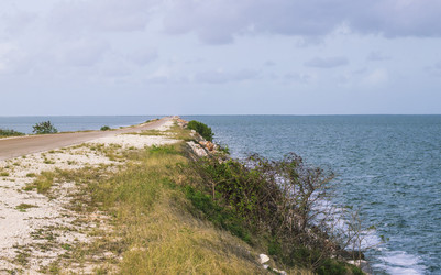 Similar image 21786603