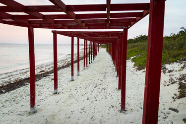 Similar image 21786604