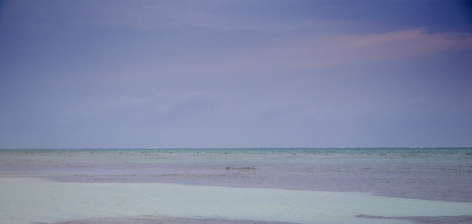 Similar image 21786605