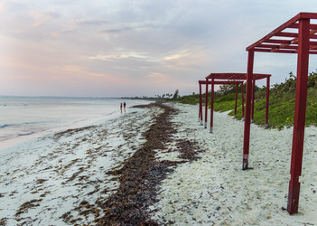 Similar image 21786608