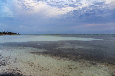 Similar image 21786829