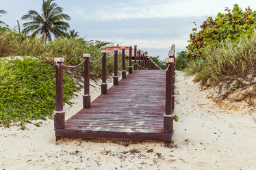 Similar image 21786832