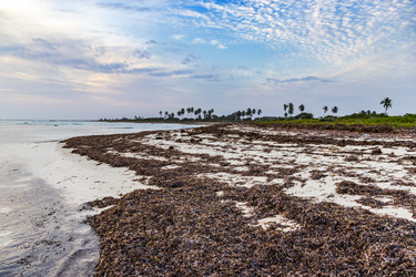 Similar image 21786833