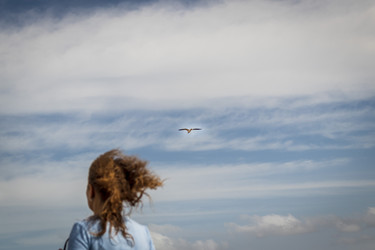 Similar image 21786834