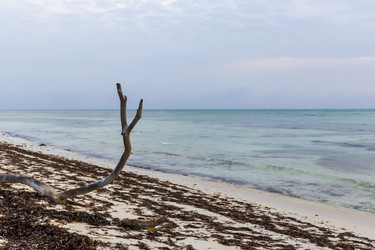 Similar image 21786836