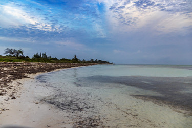 Similar image 21786837