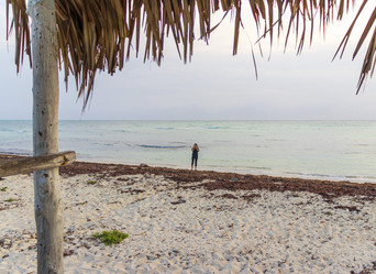 Similar image 21786839