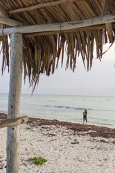 Similar image 21786842