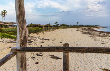 Similar image 21786845