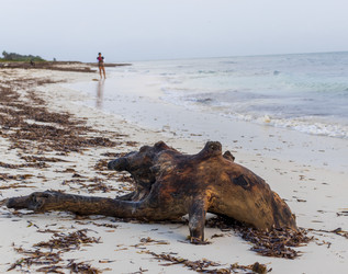 Similar image 21786848