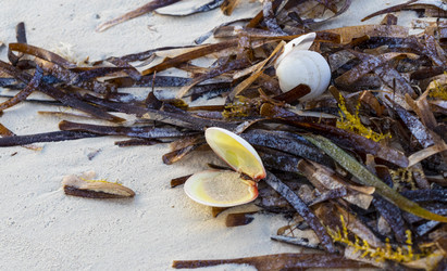 Similar image 21786239