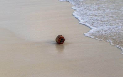 Similar image 21786241