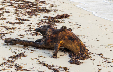 Similar image 21786242