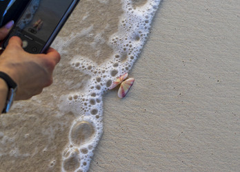 Similar image 21786244