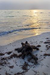 Similar image 21786246