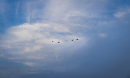 Similar image 21786248