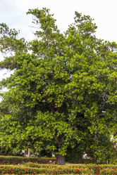 Similar image 21786249