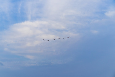 Similar image 21786250