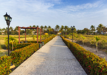 Similar image 21786254