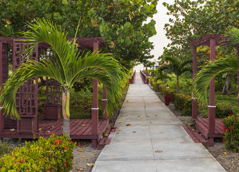 Similar image 21786255