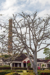 Similar image 21786256