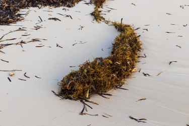 Similar image 21786262