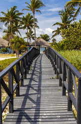 Similar image 21786264